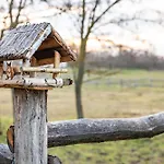 Szantodpusztai Majorsag