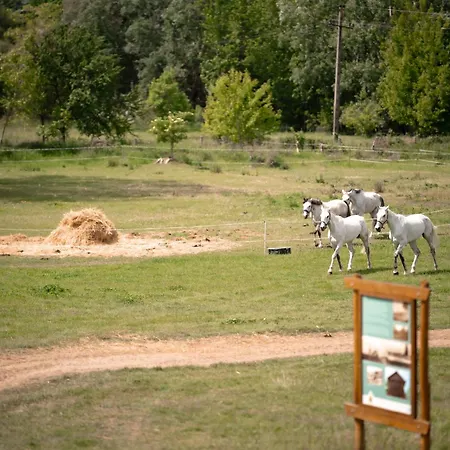 Διαμέρισμα Szantodpusztai Majorsag *